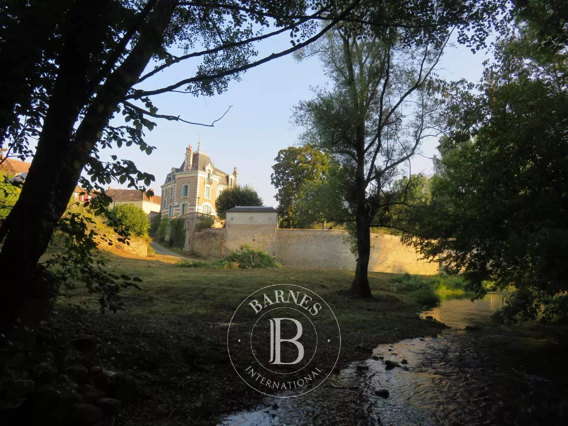 La Roche-Posay  - Hôtel particulier 12 Pi&egrave;ces 7 Chambres - picture 3