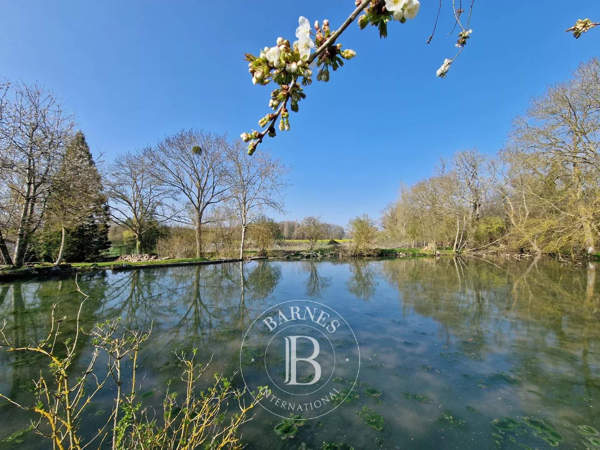 Flexanville  - Maison 15 Pi&egrave;ces 11 Chambres - picture 17