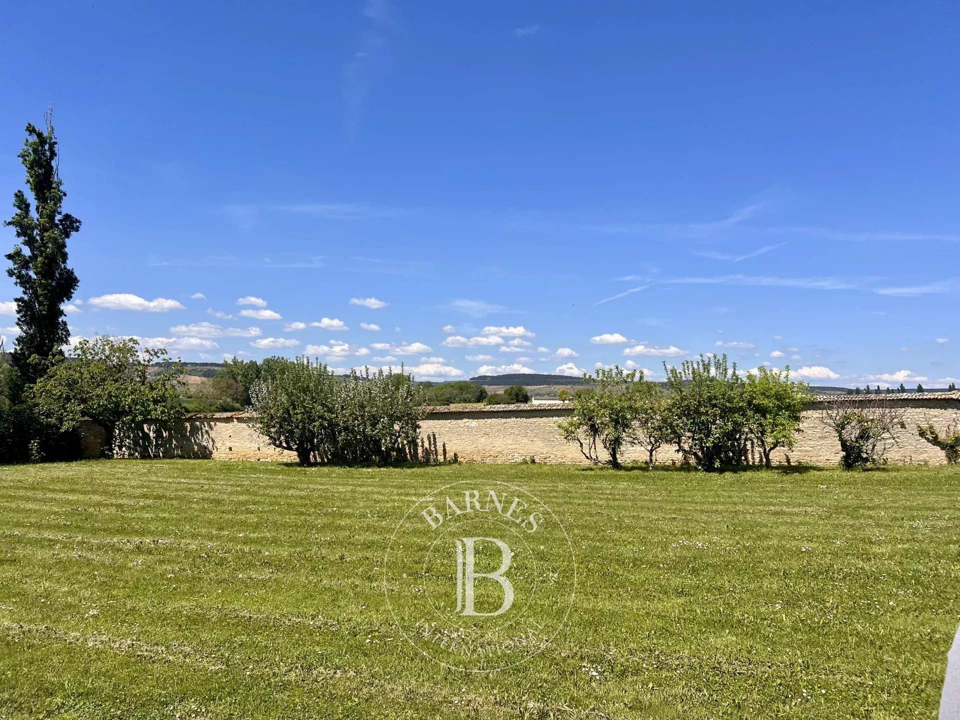 Beaune  - House 8 Bedrooms - picture 4