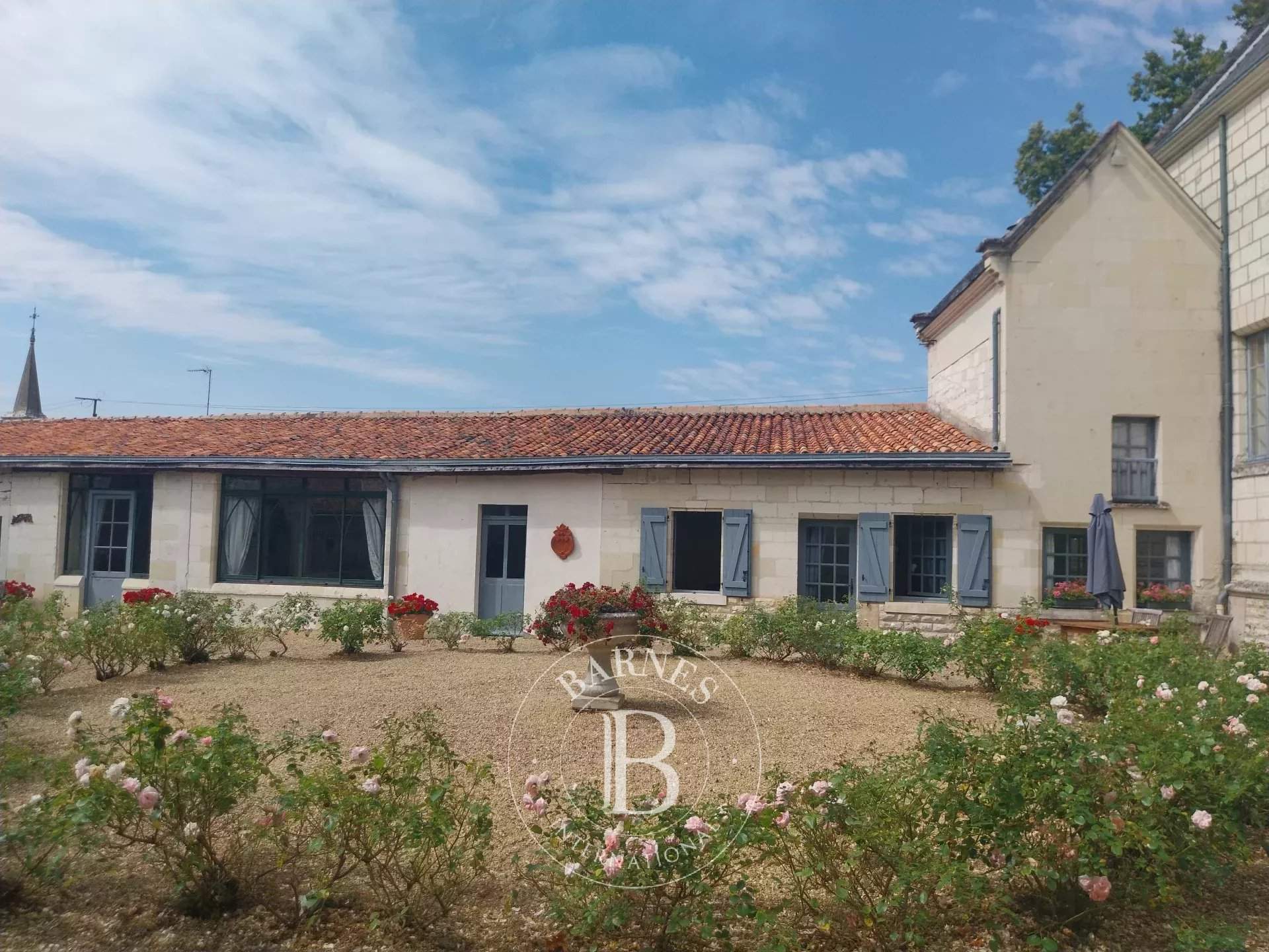 Chinon  - Château 17 Pi&egrave;ces 9 Chambres - picture 10