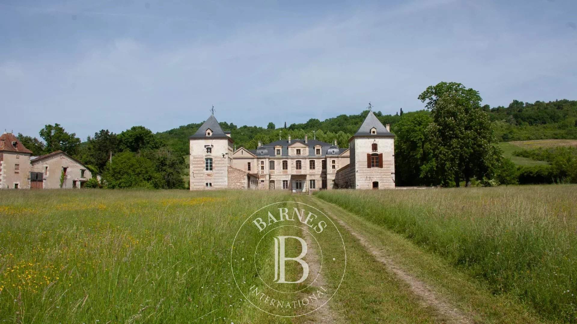 Clairac  - Château 22 Pièces 11 Chambres - picture 3