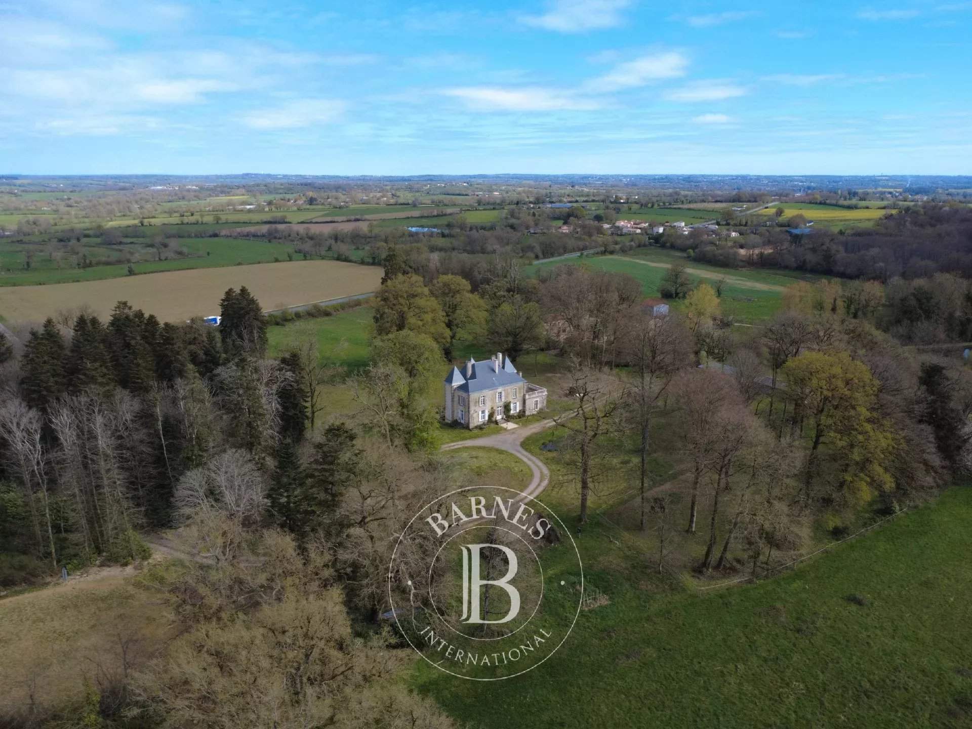 Pouzauges  - Manoir 10 Pi&egrave;ces 5 Chambres - picture 4