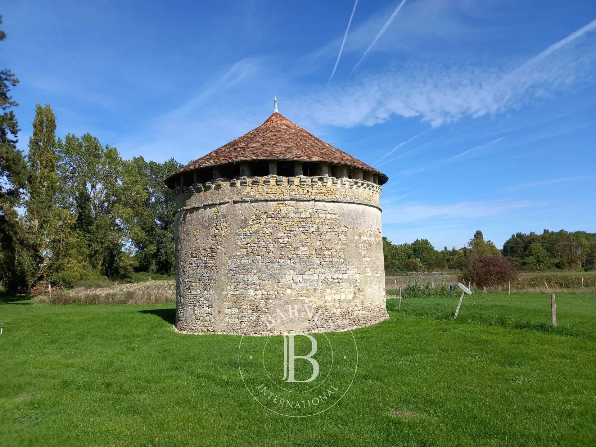 Poitiers  - Manoir 8 Pièces 4 Chambres - picture 8