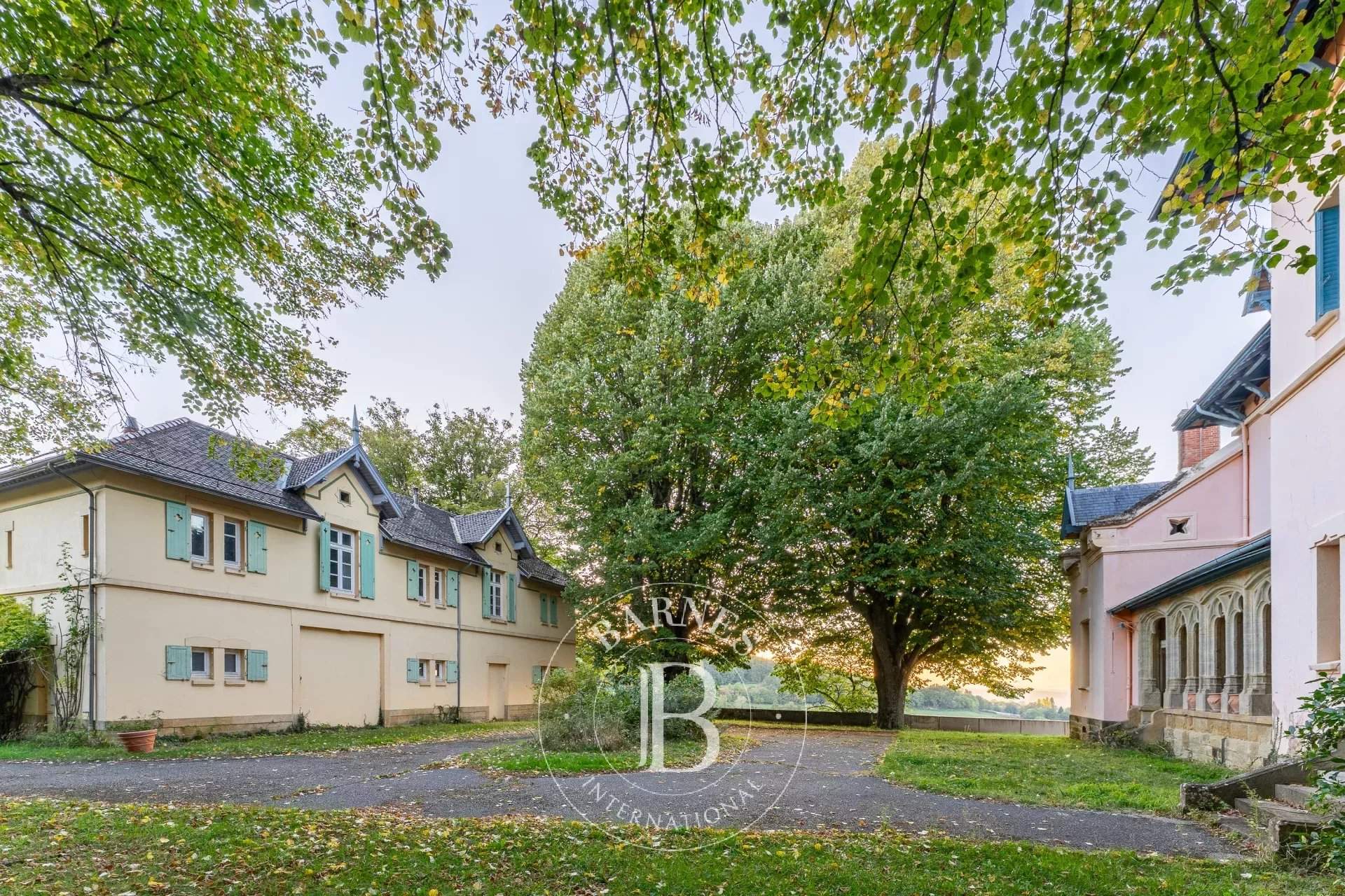 Eyzin-Pinet  - Castle  - picture 9