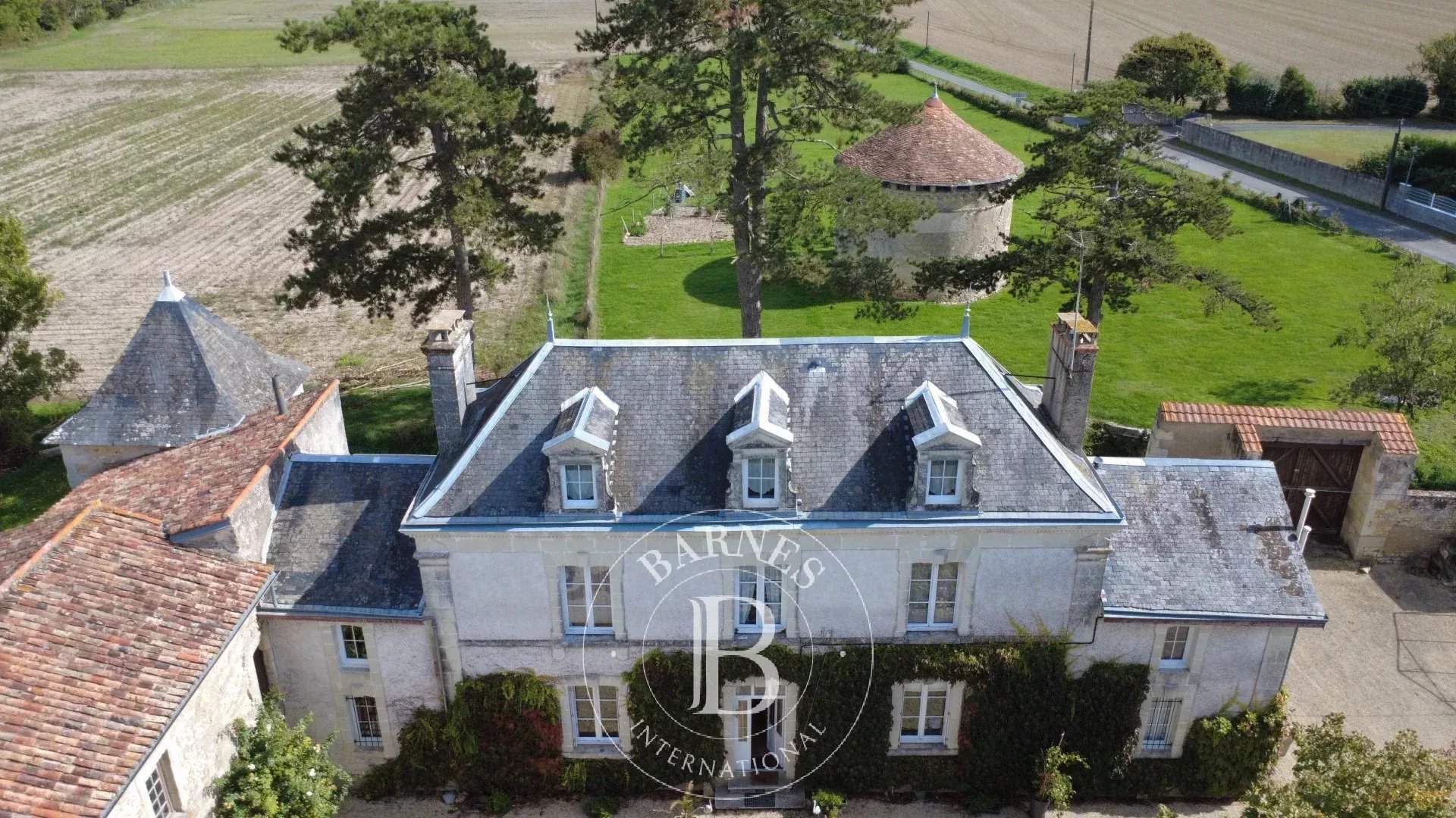 Poitiers  - Manoir 8 Pièces 4 Chambres - picture 17