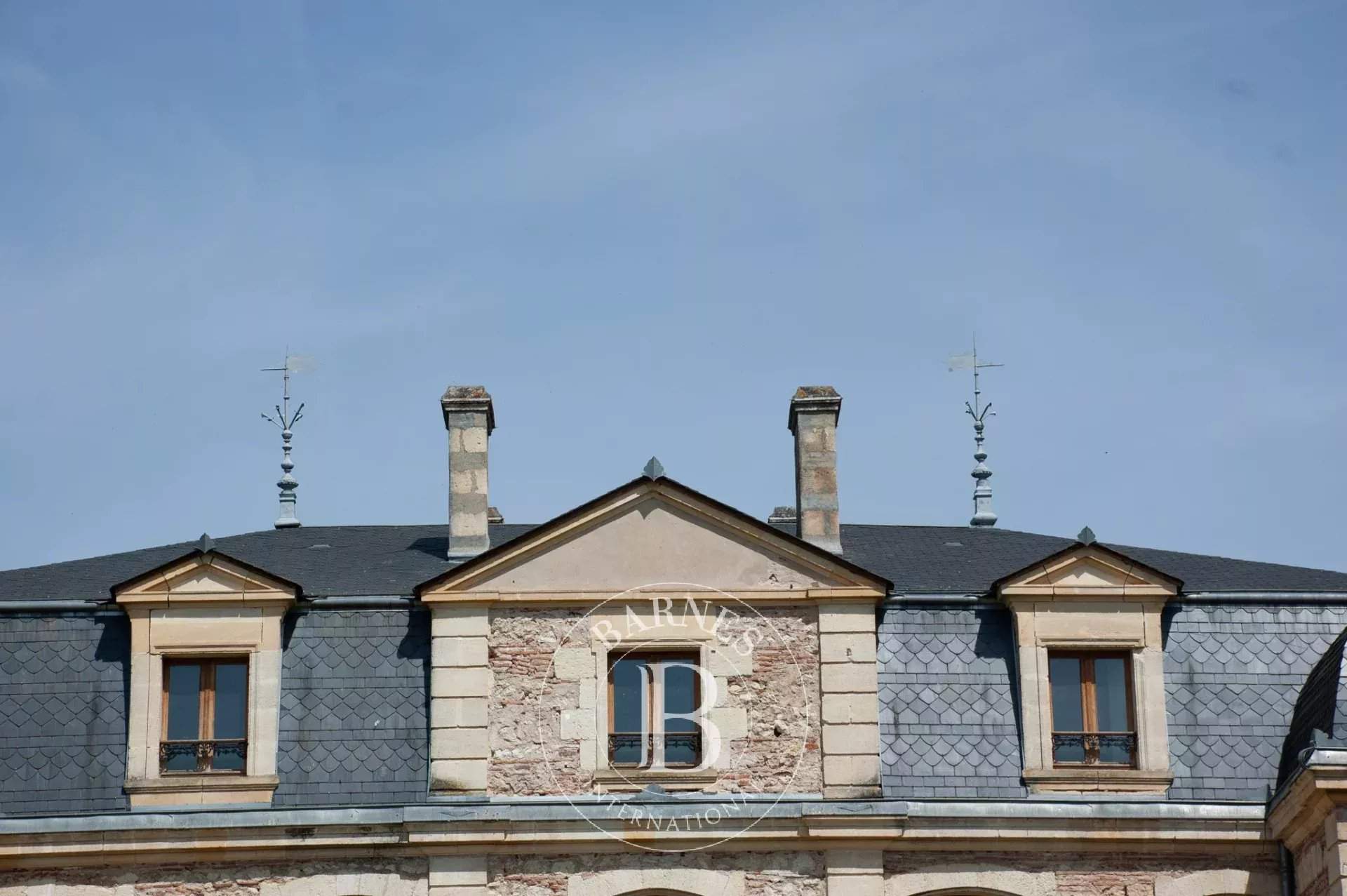 Clairac  - Château 22 Pièces 11 Chambres - picture 6