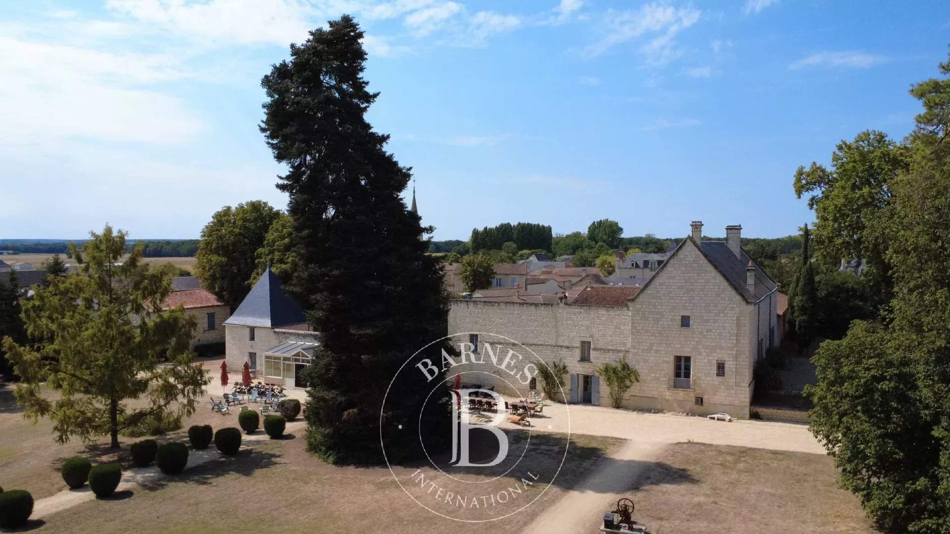 Chinon  - Château 17 Pi&egrave;ces 9 Chambres - picture 7