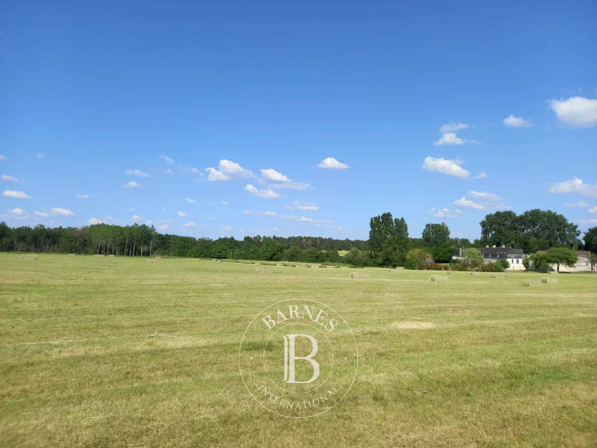 Richelieu  - Propriété 15 Pi&egrave;ces 10 Chambres - picture 19