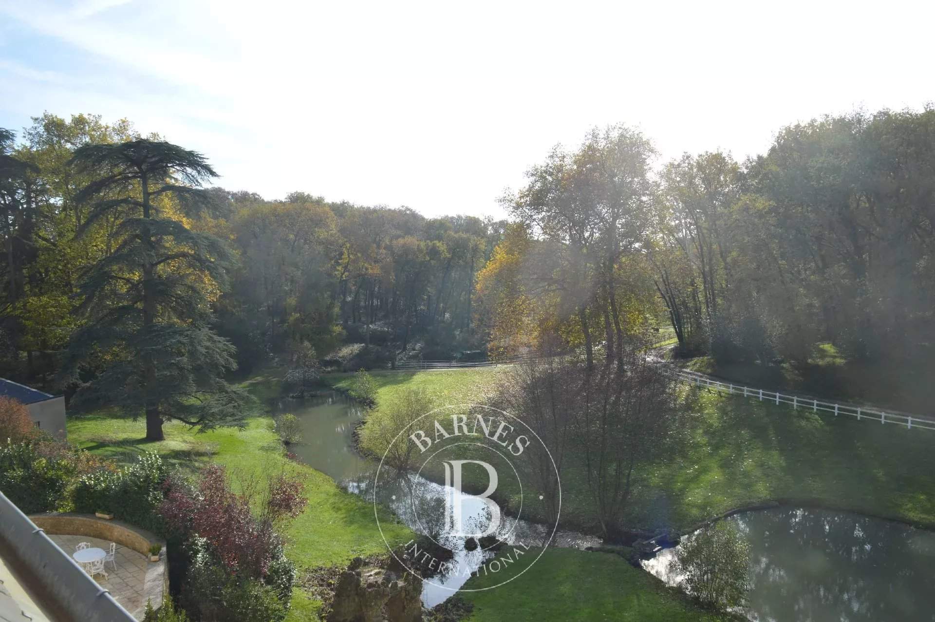 Poitiers  - Château 22 Pièces 12 Chambres - picture 11