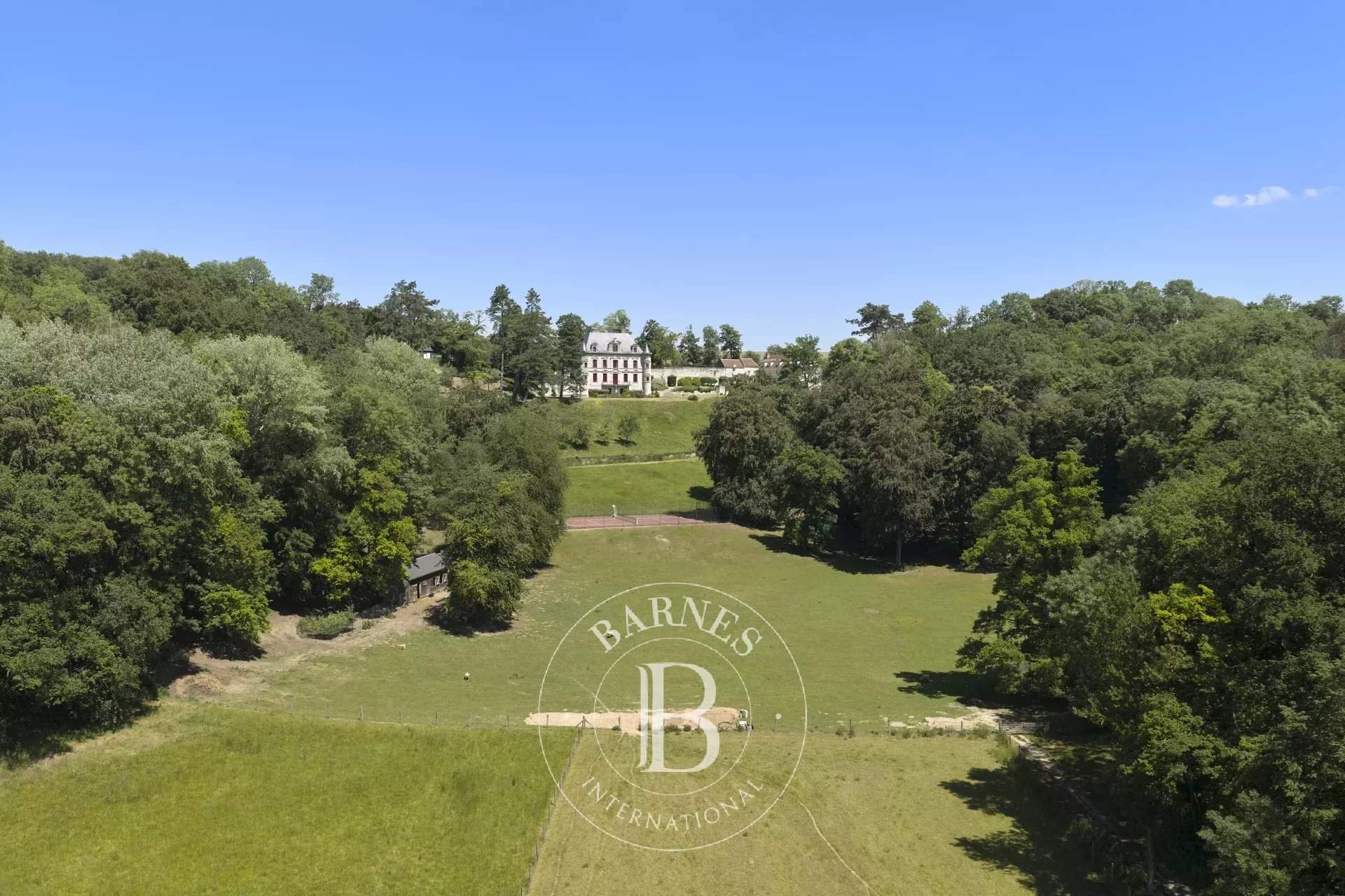 Vassens  - Château  - picture 18