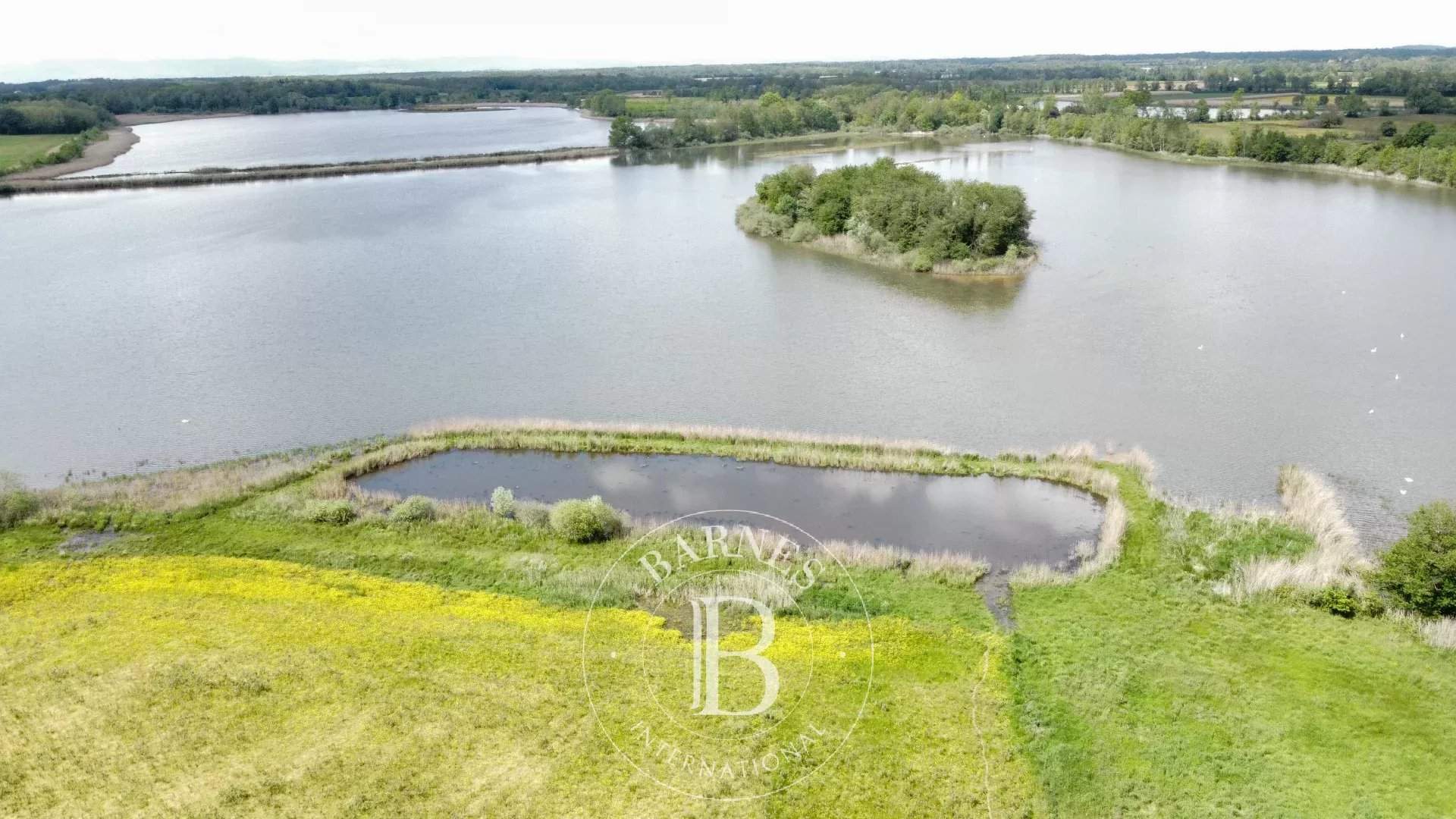 Villars-les-Dombes  - Propriété  - picture 5