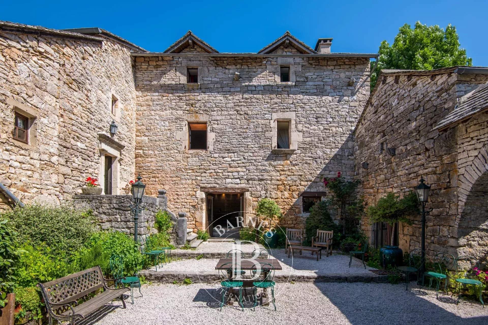 Sévérac-le-Château  - Property 12 Bedrooms - picture 4