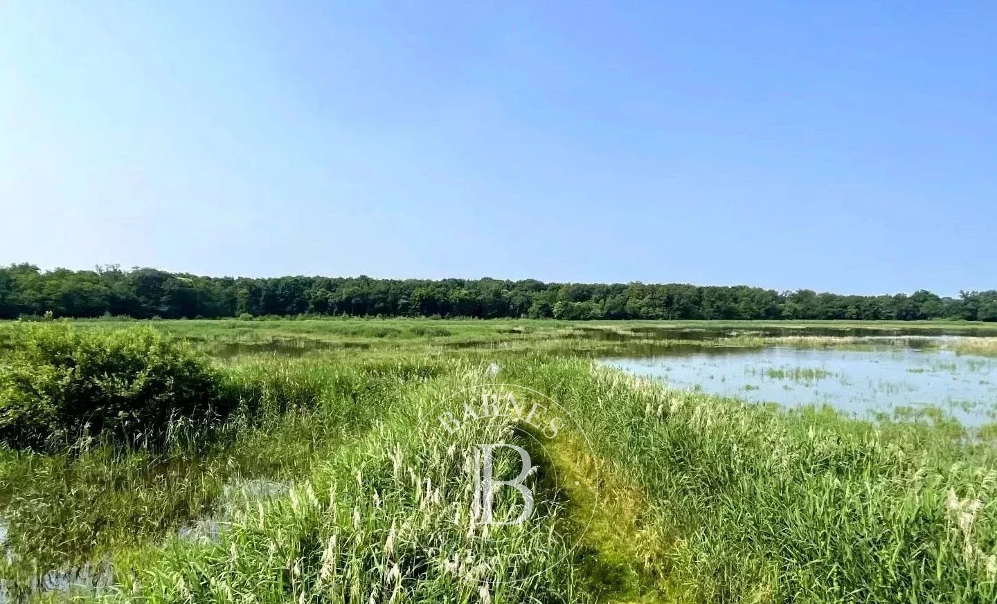 Mionnay  - Game reserve  - picture 1