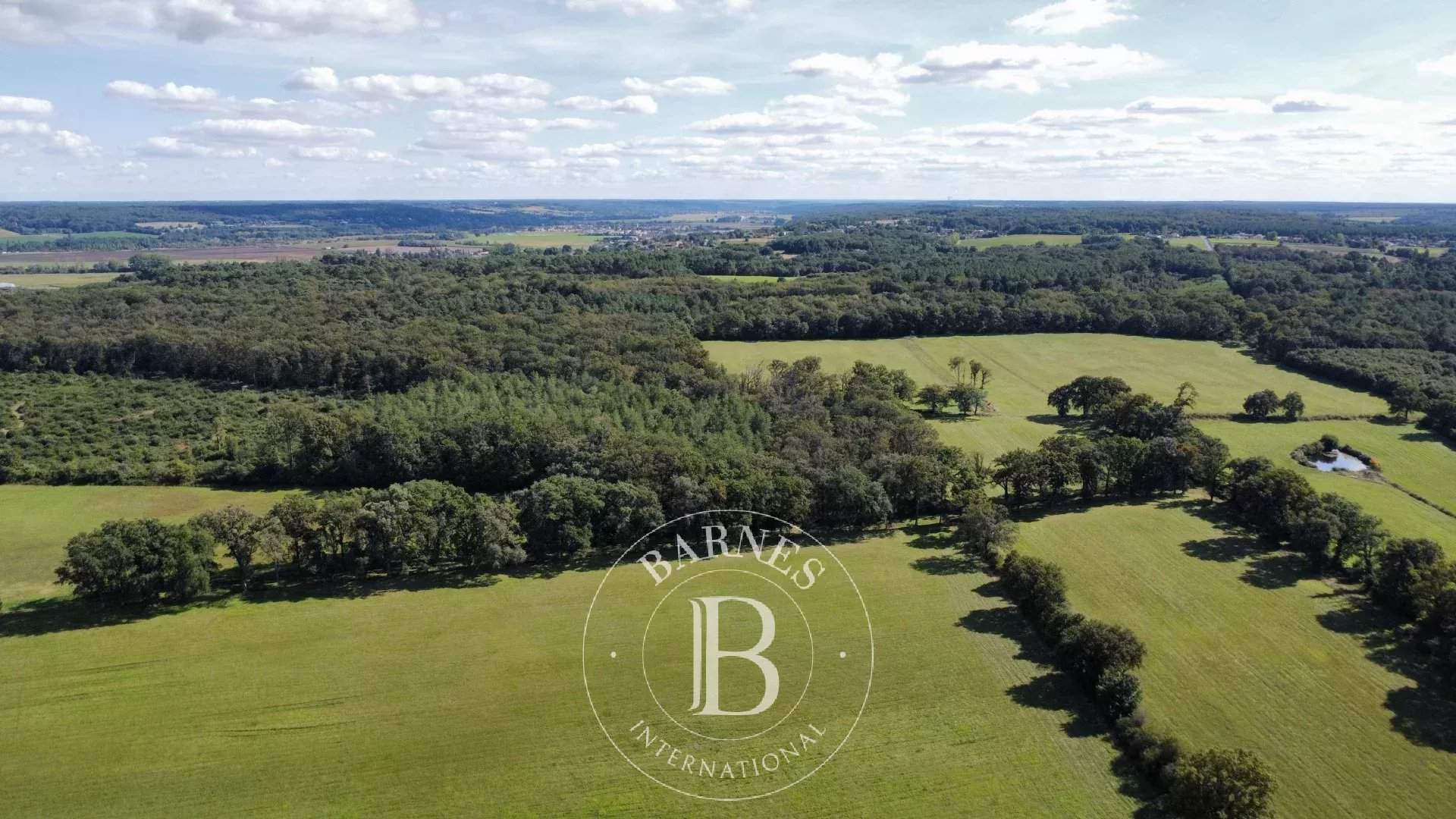 Châtellerault  - Castle 13 Bedrooms - picture 12