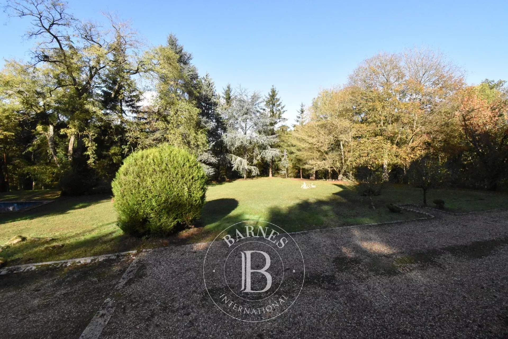 Sermaise  - Maison 15 Pi&egrave;ces 6 Chambres - picture 14