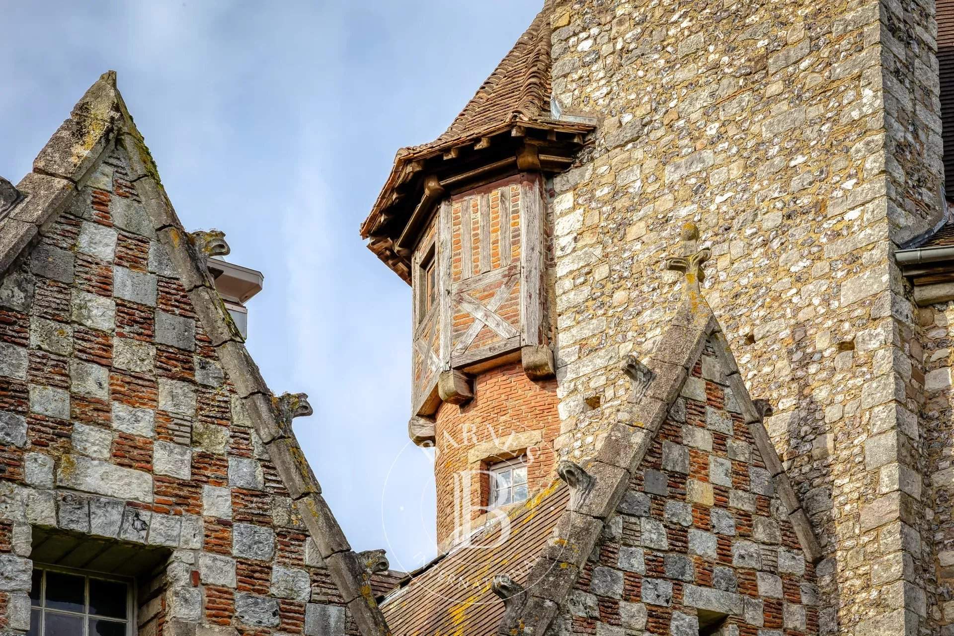Saint-Victor-l'Abbaye  - Manoir 16 Pi&egrave;ces 5 Chambres - picture 3
