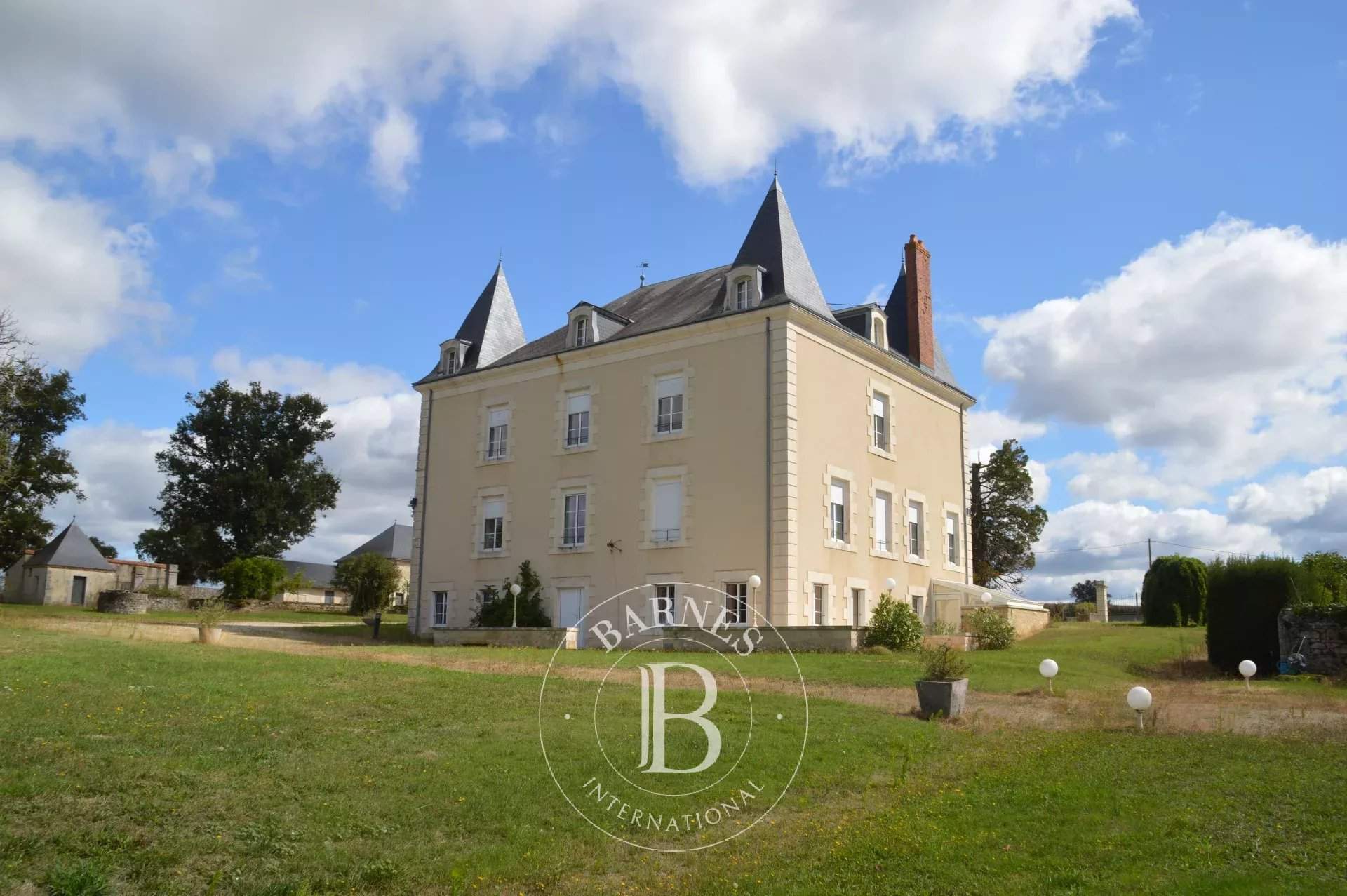 La Trimouille  - Manor house 12 Bedrooms - picture 5