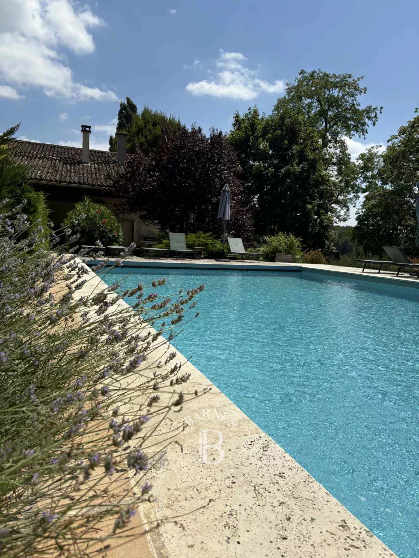 Moulidars  - Propriété 11 Pi&egrave;ces - picture 5