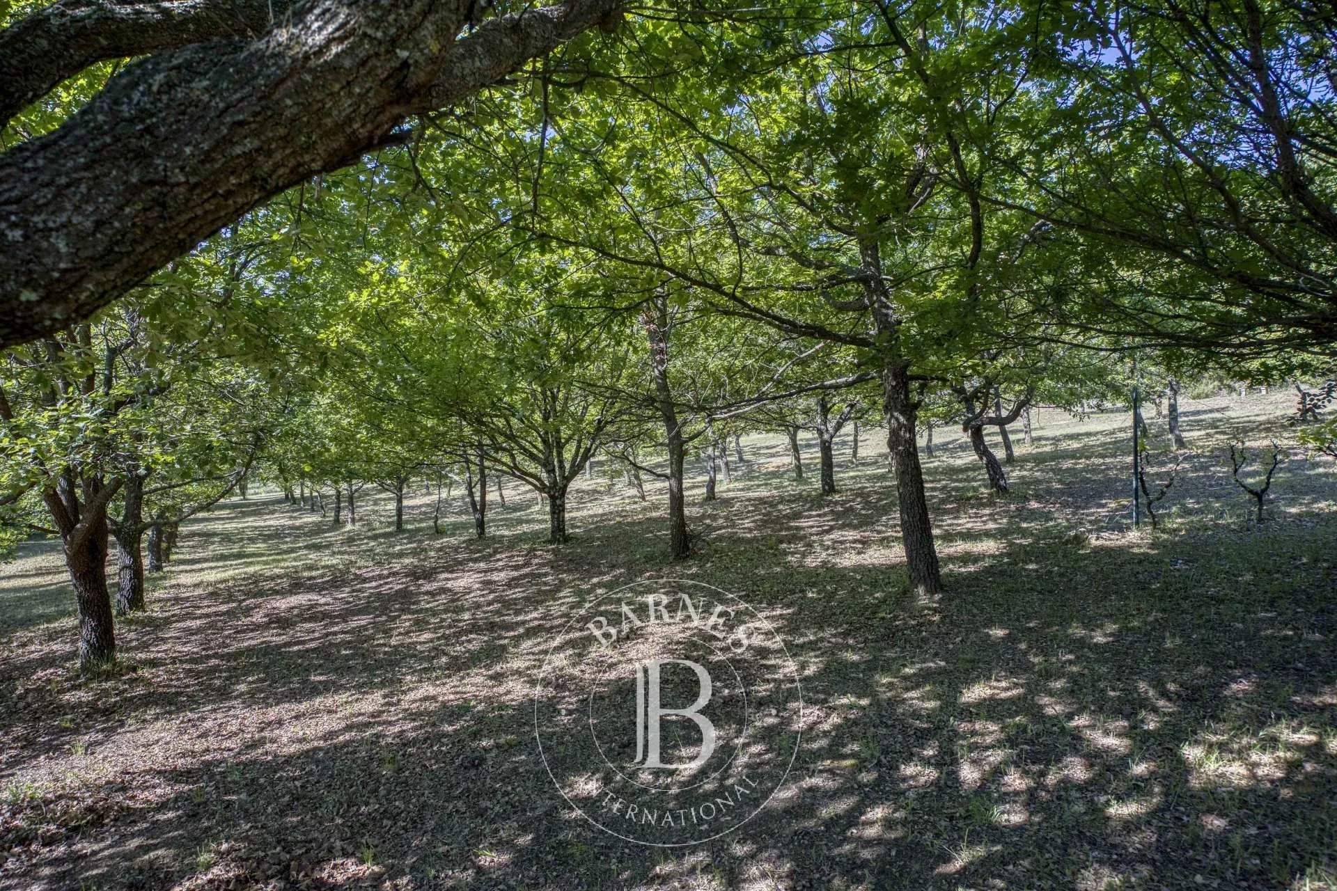 Vaison-la-Romaine  - Mas 10 Pièces 5 Chambres - picture 7