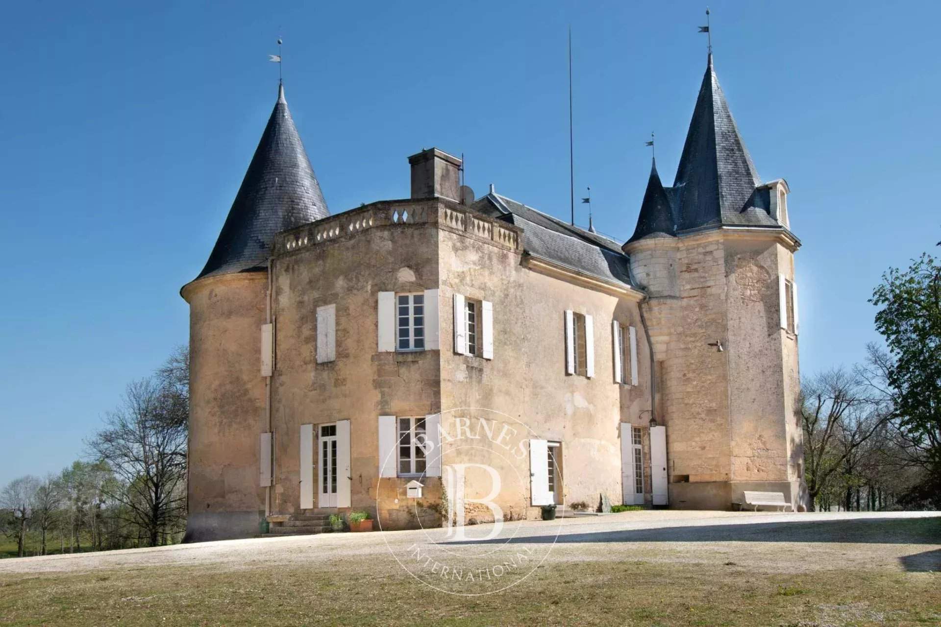 Bergerac  - Château 11 Pièces 8 Chambres - picture 5