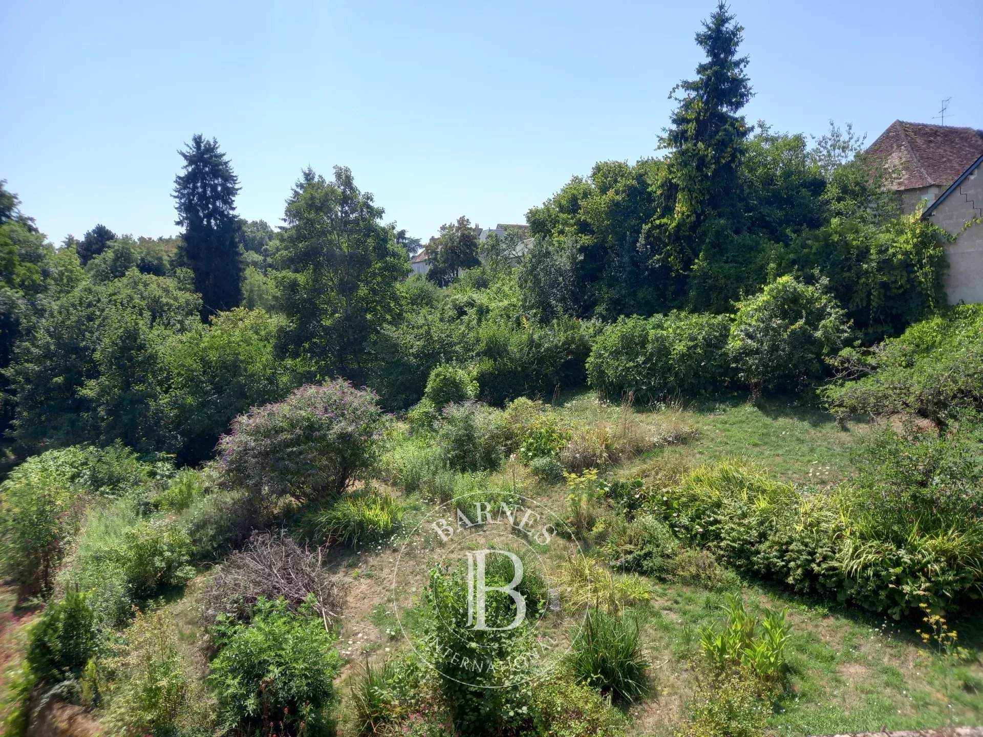 La Roche-Posay  - Hôtel particulier 12 Pi&egrave;ces 7 Chambres - picture 9