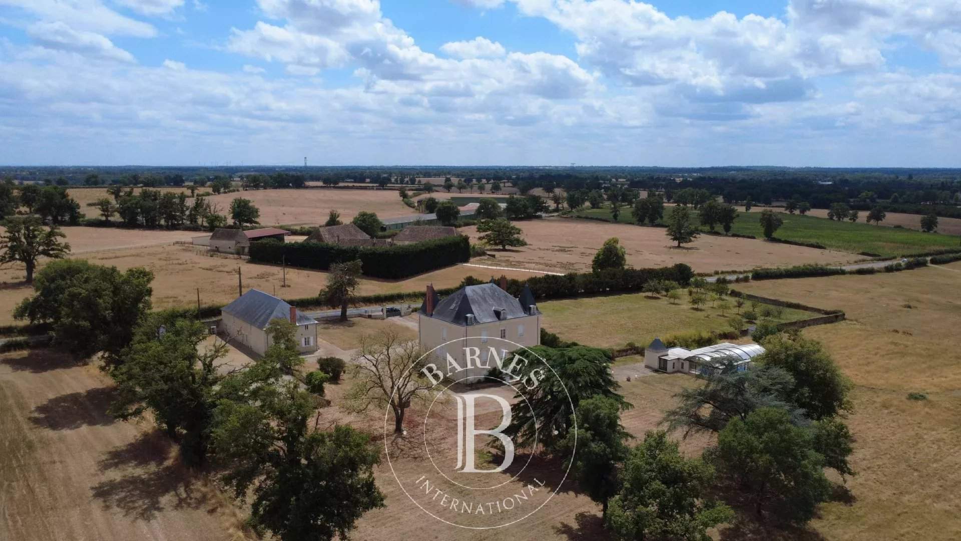 La Trimouille  - Manor house 12 Bedrooms - picture 4