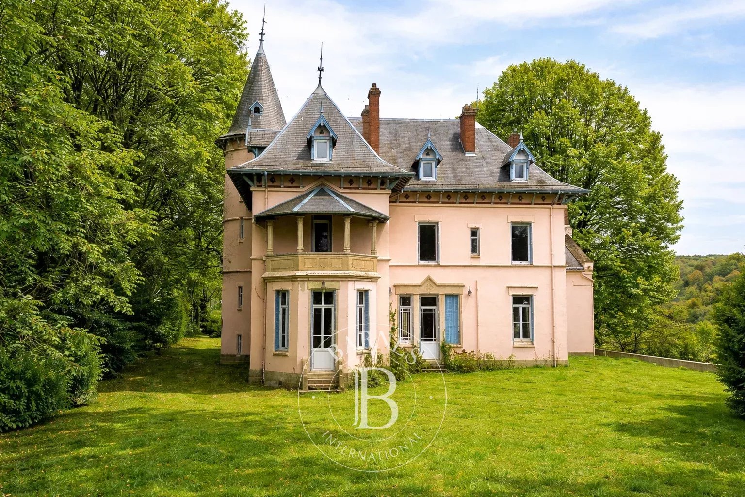 Eyzin-Pinet  - Château  - picture 1