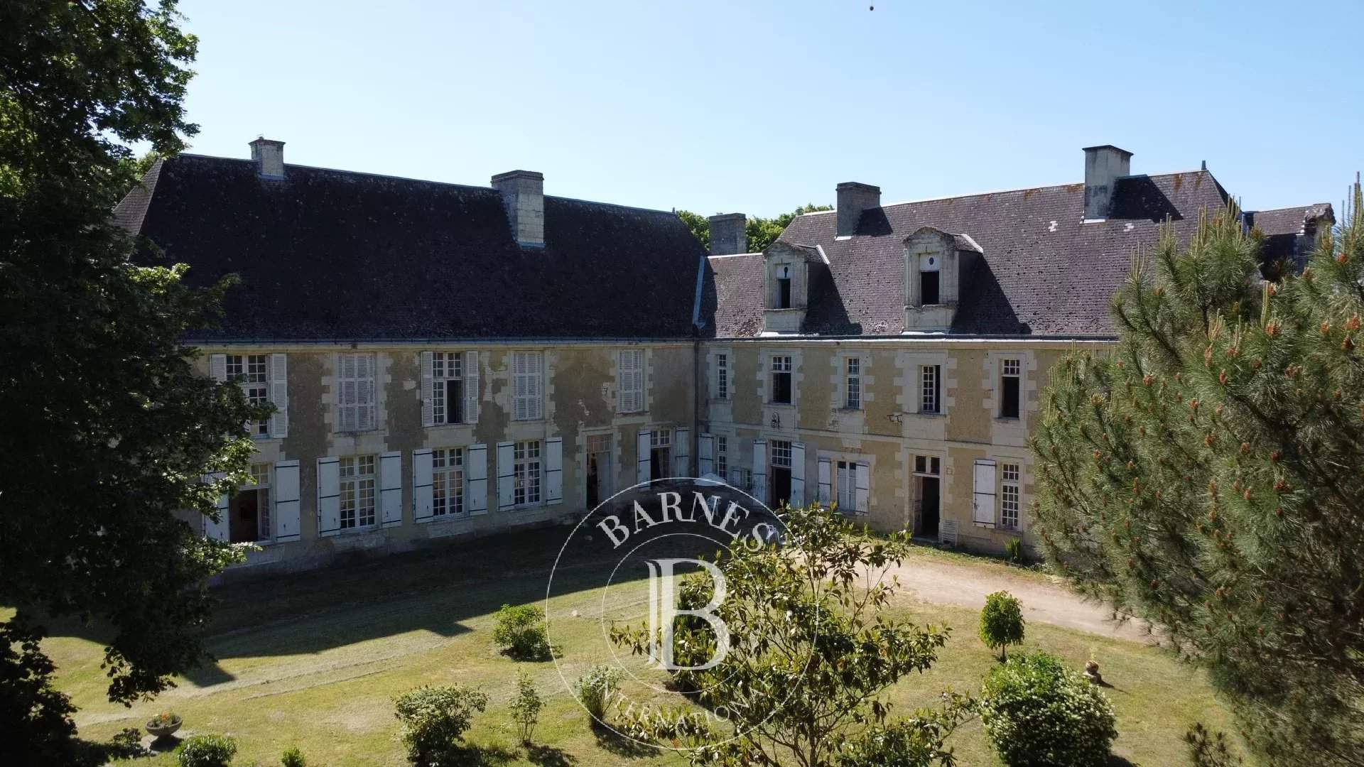Châtellerault  - Château 18 Pièces 8 Chambres - picture 11