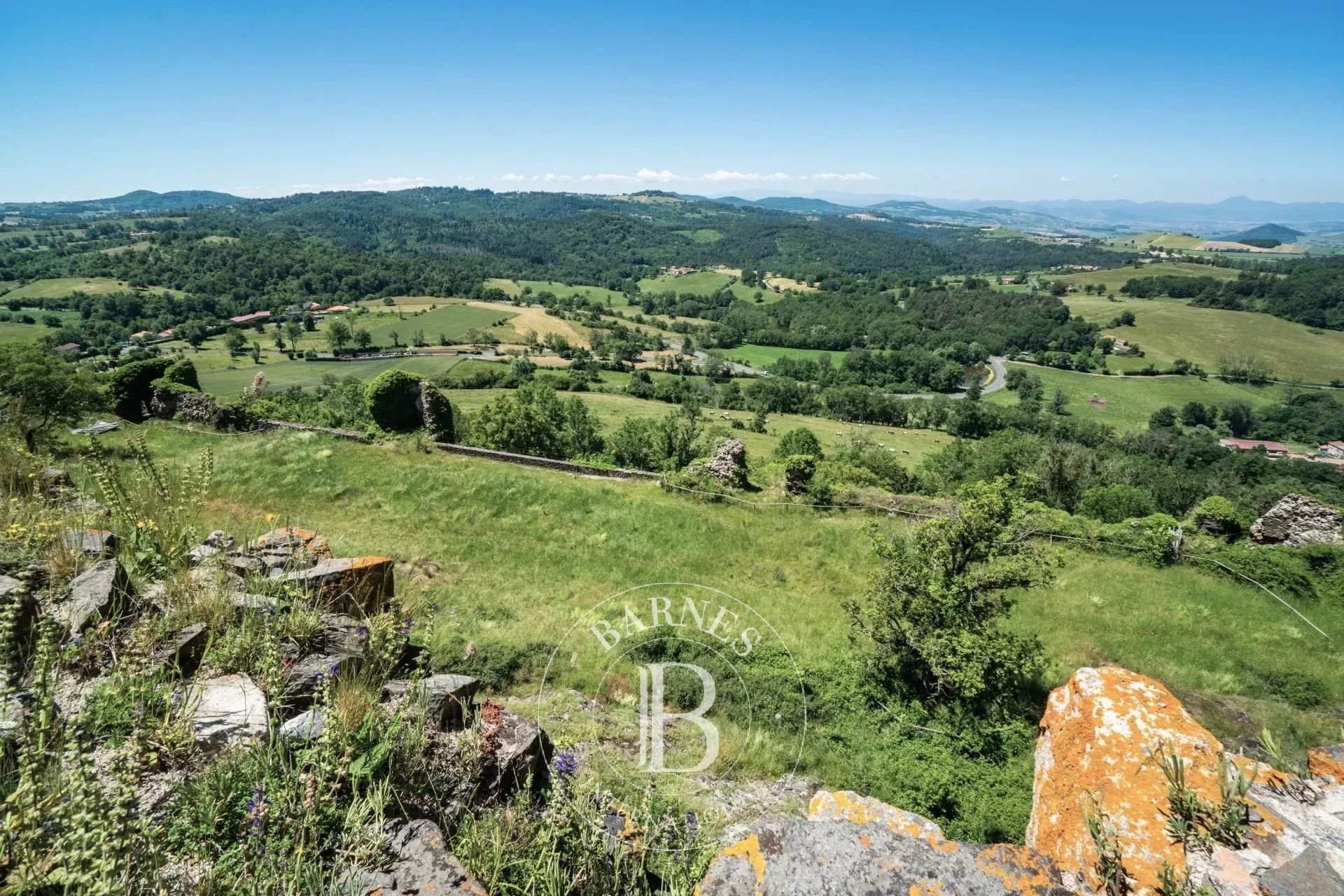 Mauzun  - Château  - picture 8