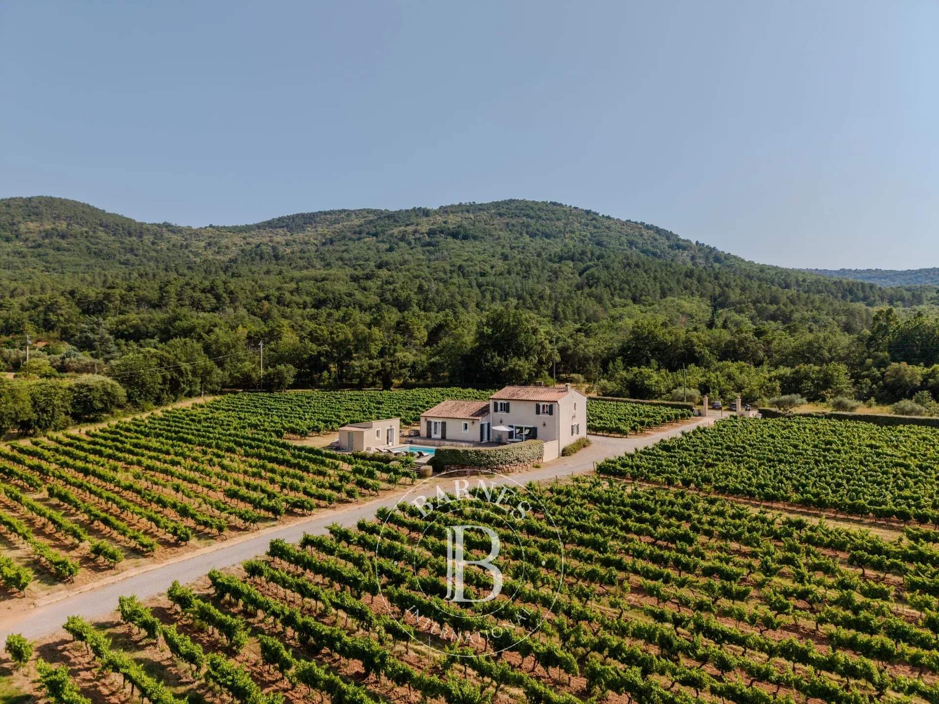 Gonfaron  - Vineyard property 6 Bedrooms - picture 5