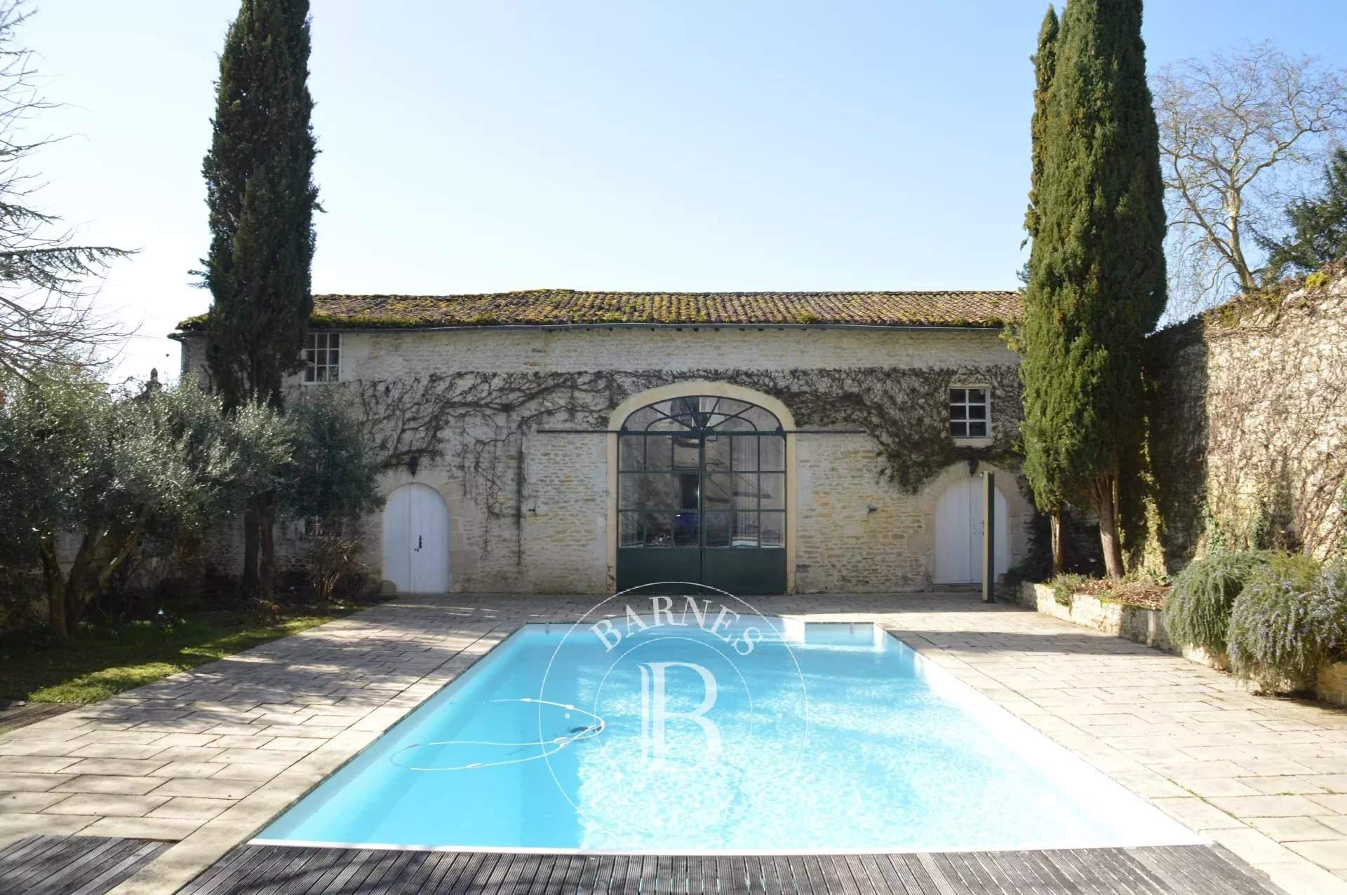 Maillezais  - Manor house 6 Bedrooms - picture 7