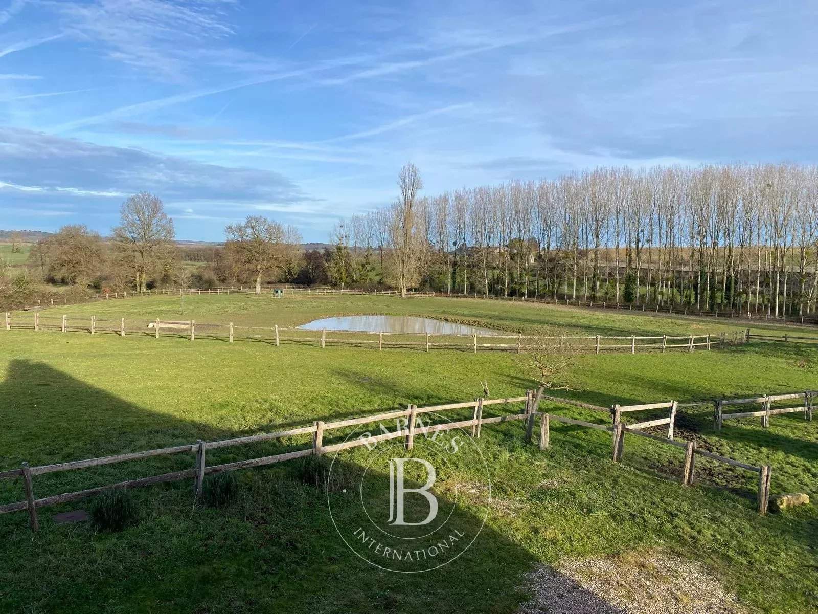 La Roche-Posay  - Maison 8 Pi&egrave;ces 6 Chambres - picture 5