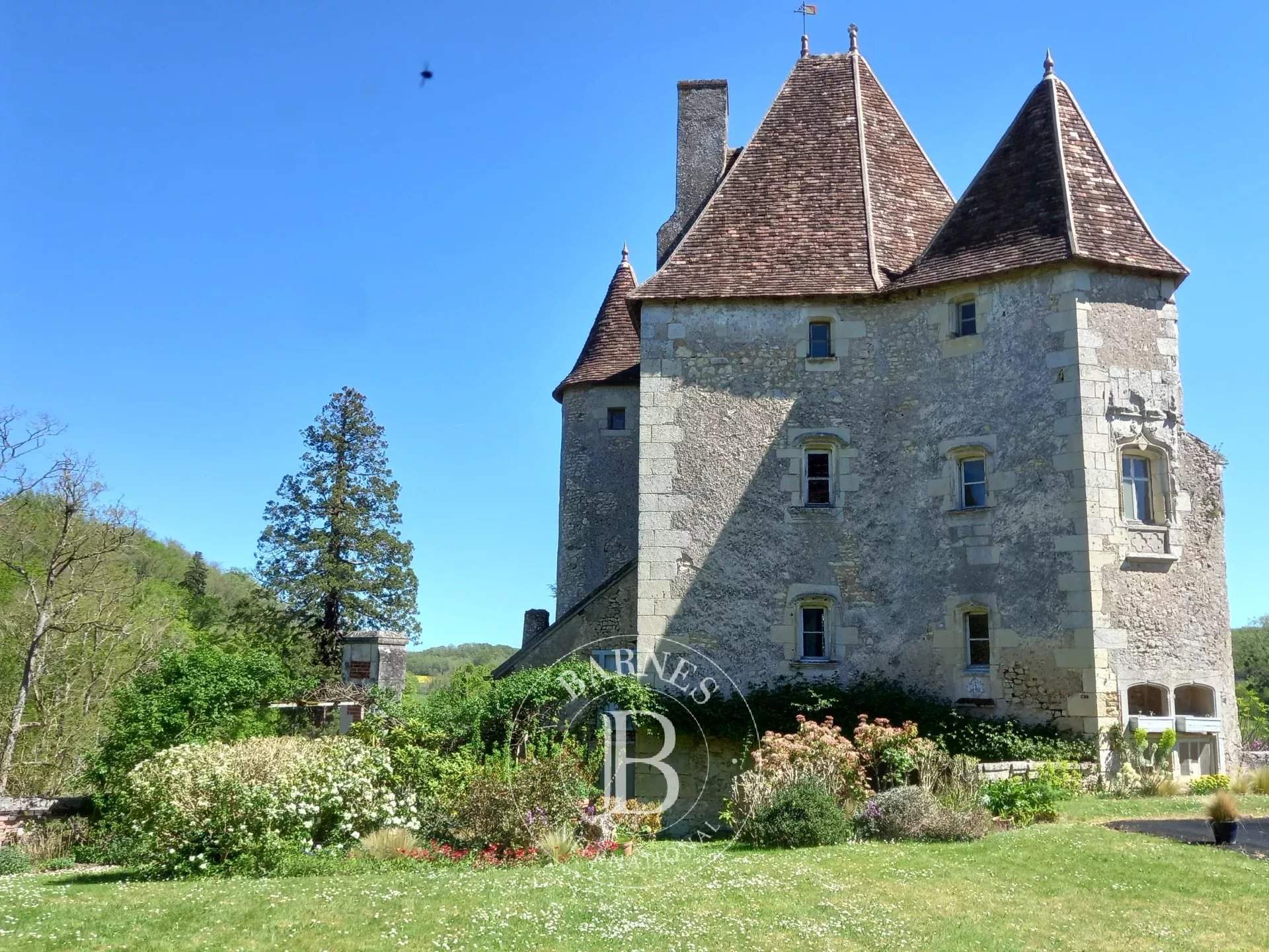 Châtellerault  - Château 9 Pi&egrave;ces 6 Chambres - picture 7