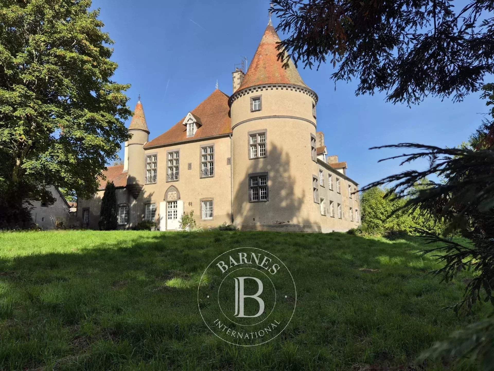 Blot-l'Église  - Castle 8 Bedrooms - picture 1