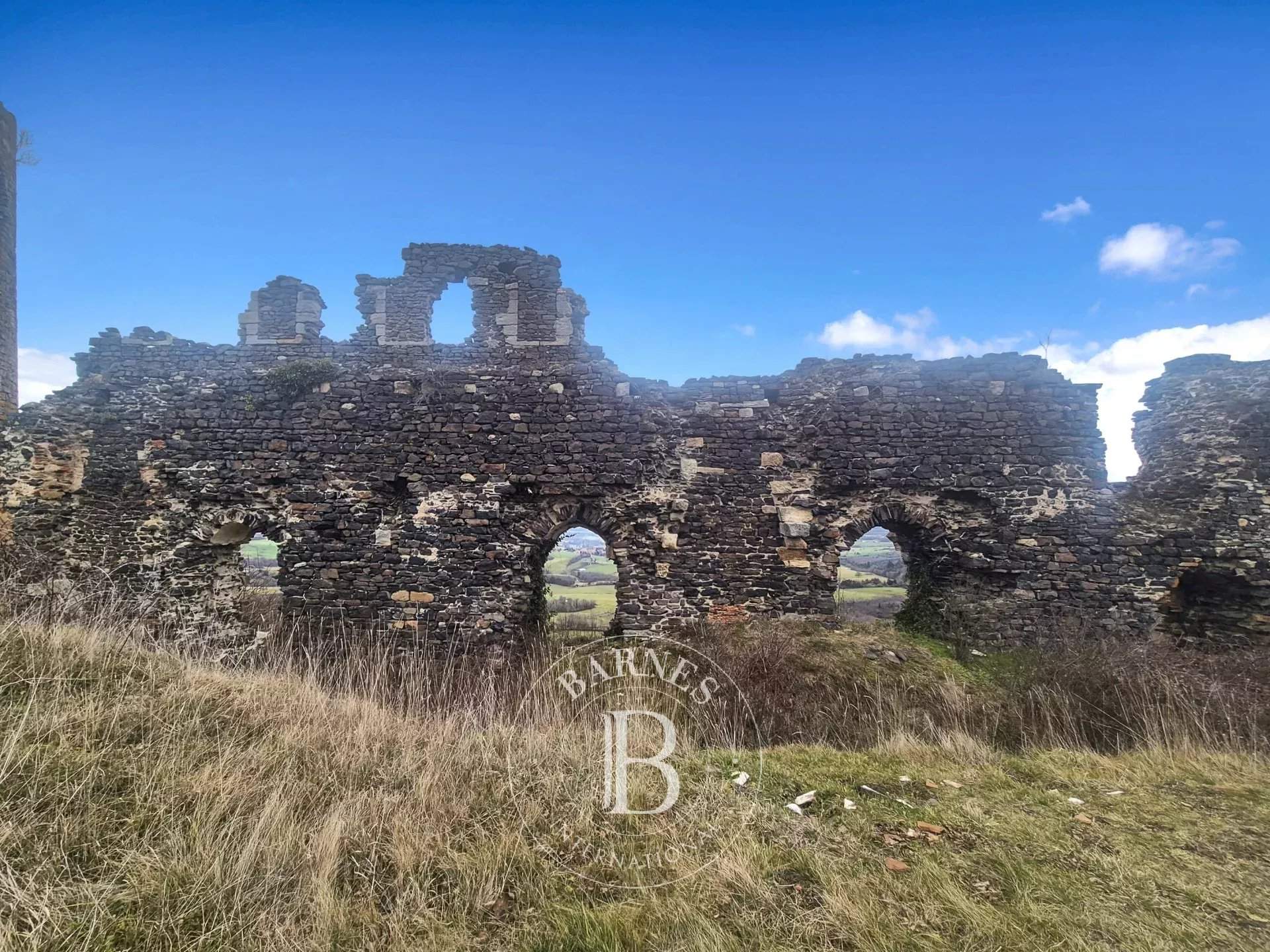 Mauzun  - Château  - picture 4