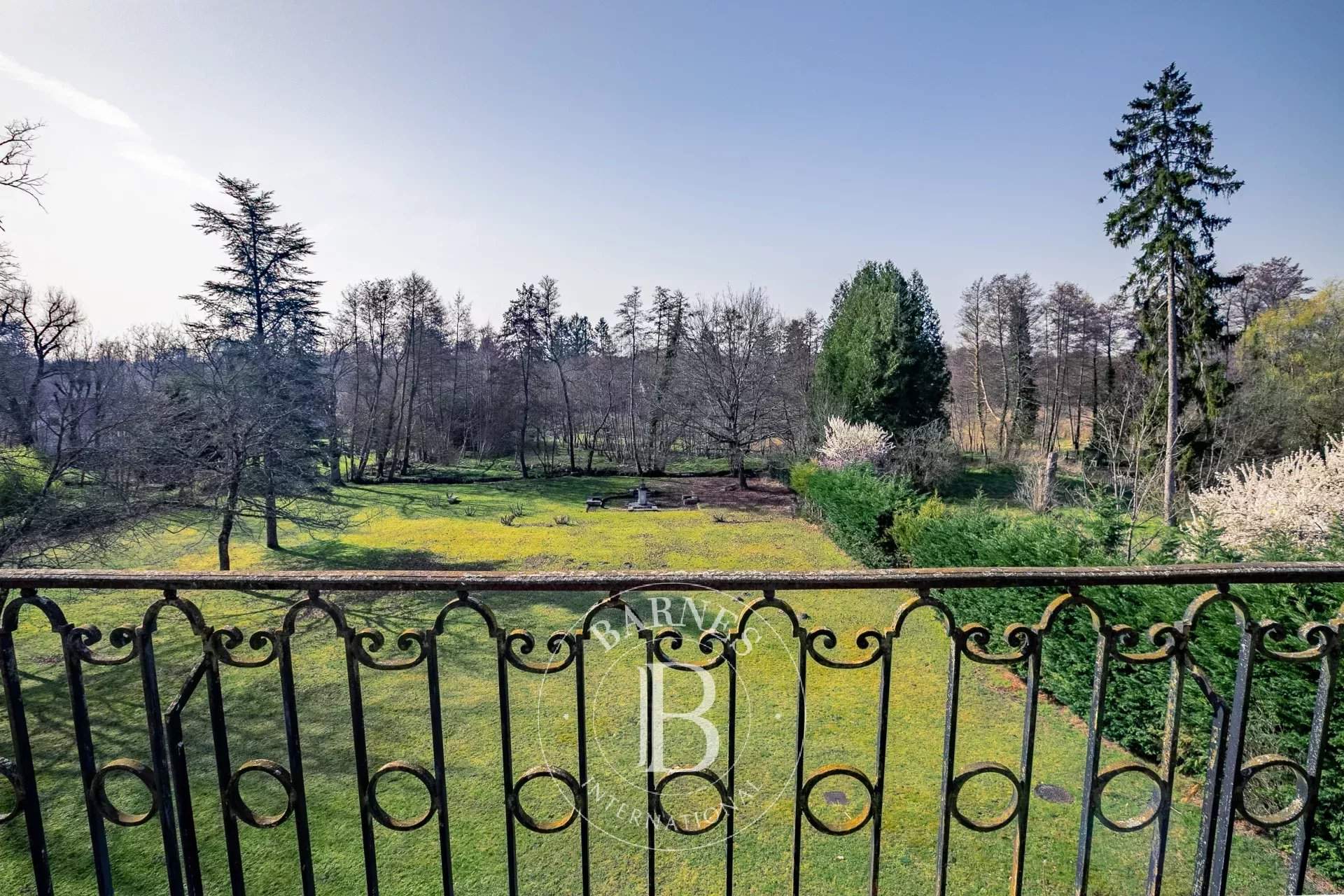 Vieux-Moulin  - Manoir 30 Pi&egrave;ces - picture 10