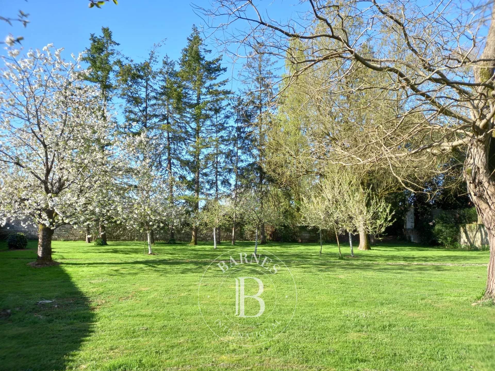 Maillezais  - Manor house 6 Bedrooms - picture 15