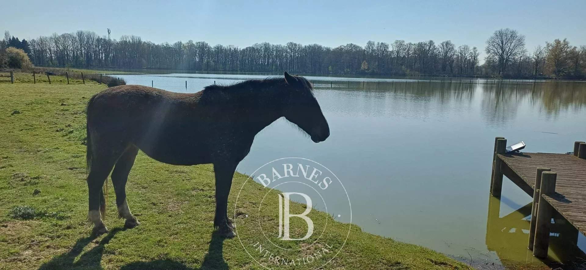 Villars-les-Dombes  - Domaine équestre 12 Pi&egrave;ces 7 Chambres - picture 8