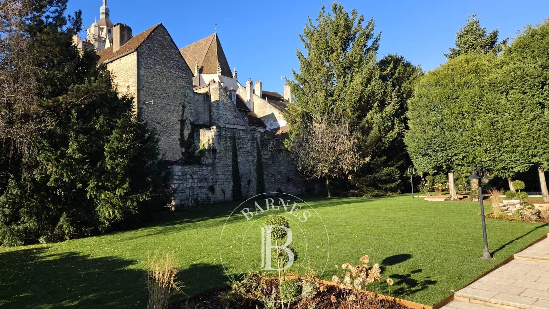 Dole  - Hôtel particulier 15 Pi&egrave;ces 5 Chambres - picture 4