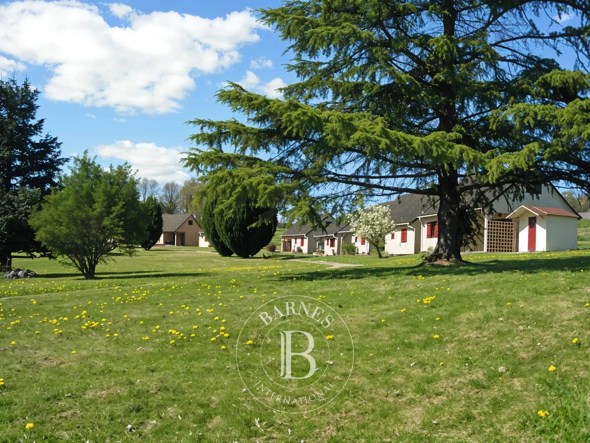 Arnac-Pompadour  - Propriété  - picture 9