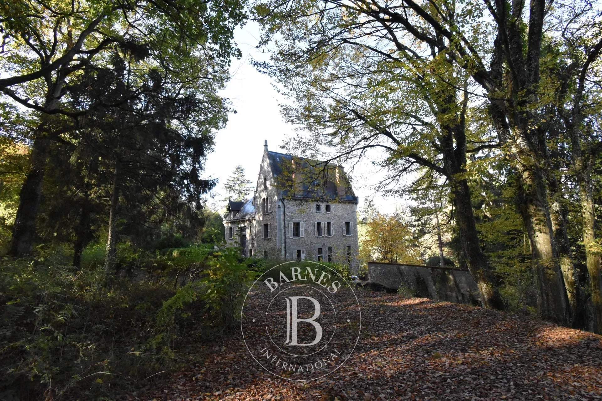 Sermaise  - Maison 15 Pi&egrave;ces 6 Chambres - picture 3