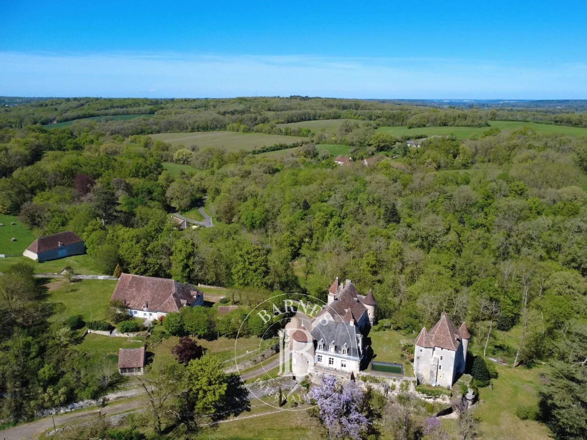 Châtellerault  - Château 9 Pi&egrave;ces 6 Chambres - picture 18