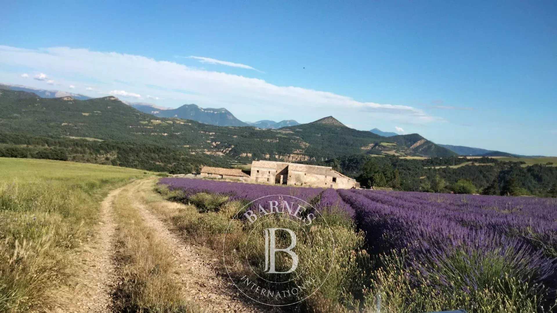 Digne-les-Bains  - Property 6 Bedrooms