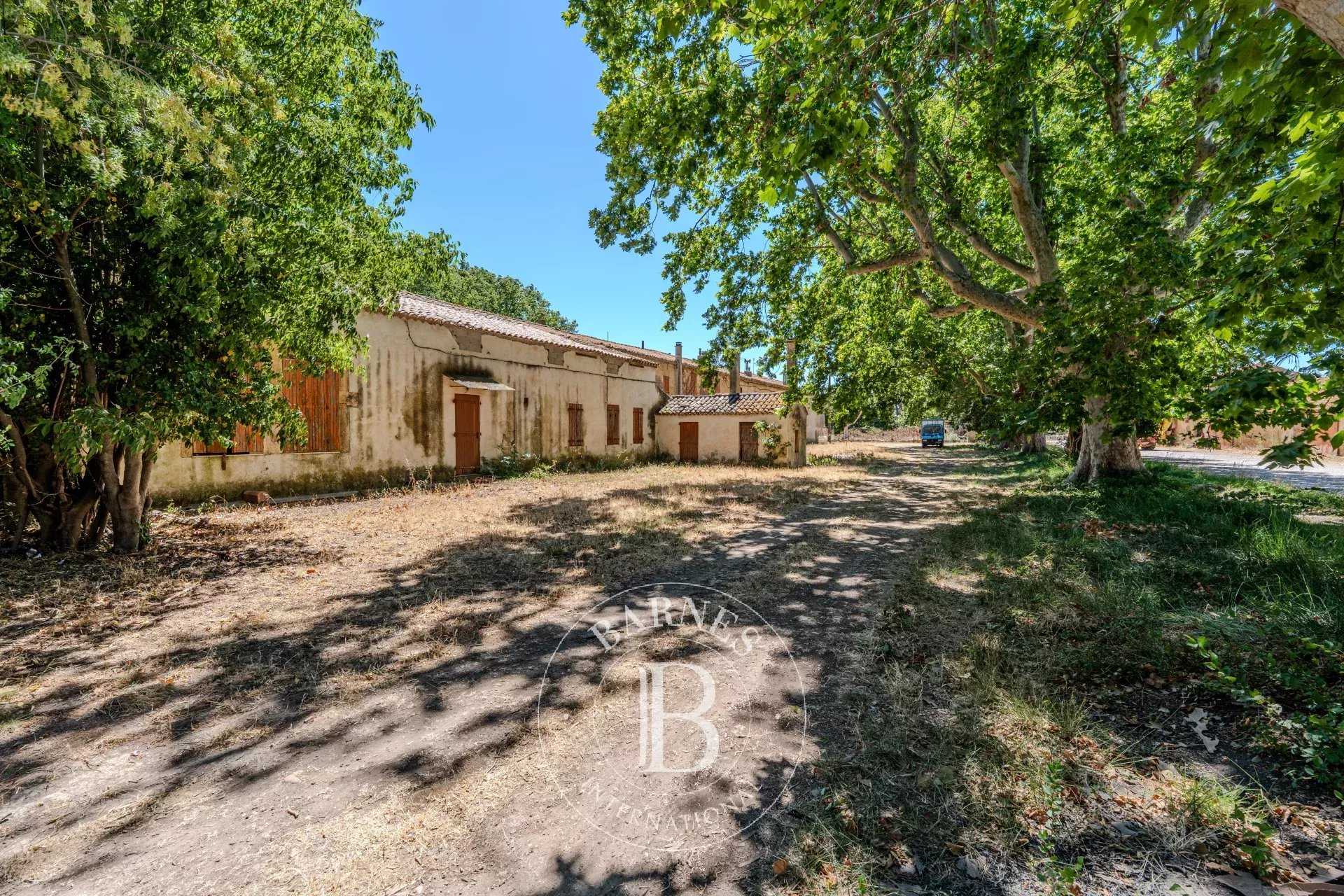 Salon-de-Provence  - Agricultural exploitation 