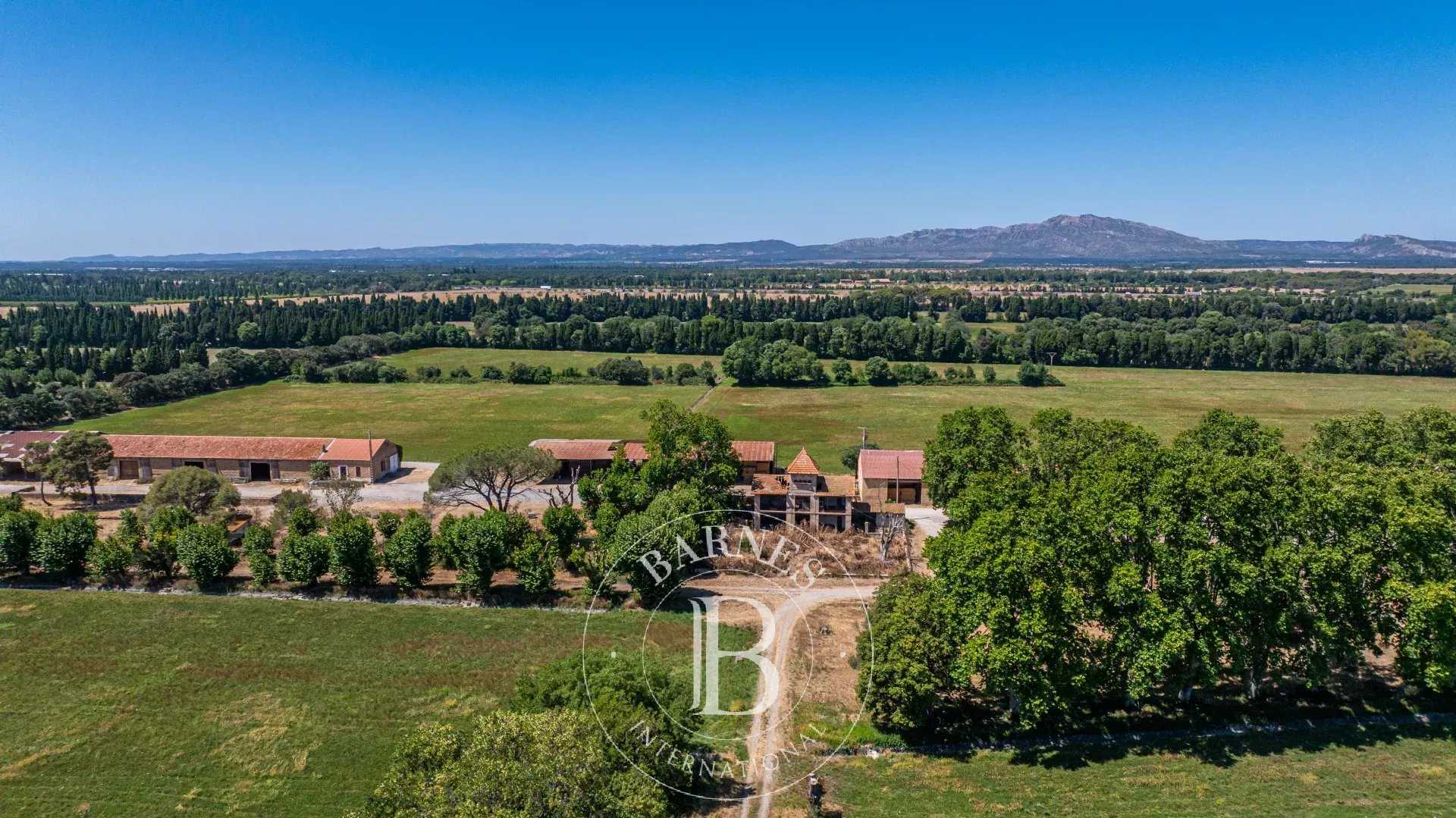 Salon-de-Provence  - Agricultural exploitation 