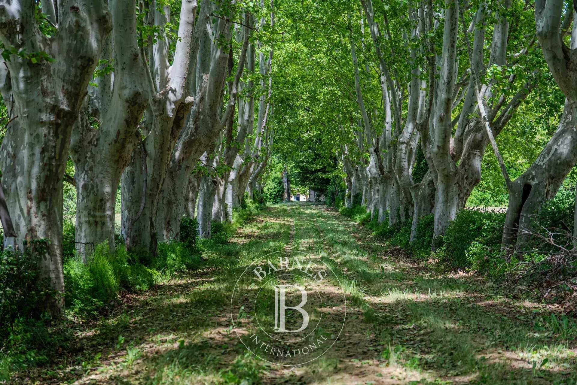 Lourmarin  - Bastide 