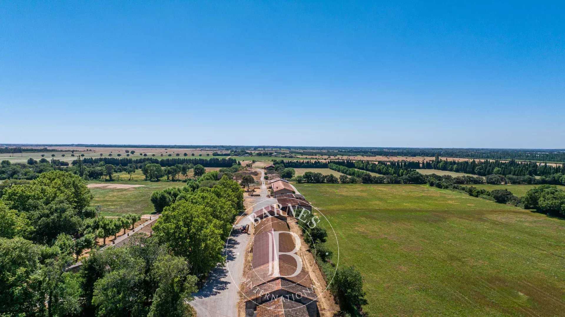 Agricultural exploitation Salon-de-Provence  -  ref 86071802 (picture 3)