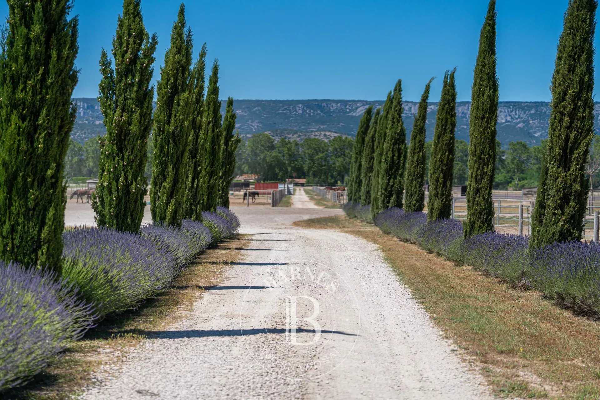 Domaine équestre Charleval  -  ref 85040195 (picture 1)