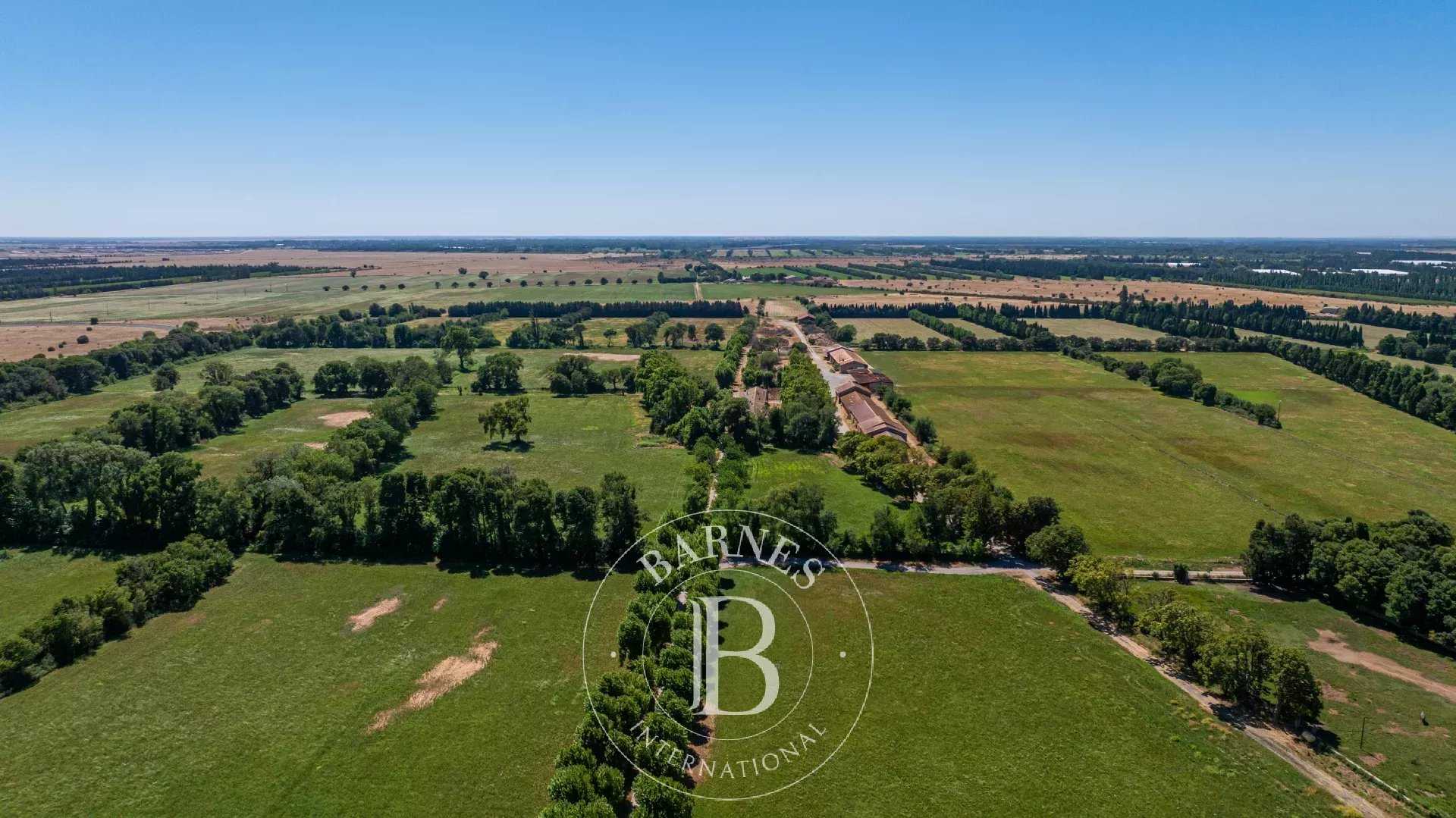 Agricultural exploitation Salon-de-Provence  -  ref 86071802 (picture 2)