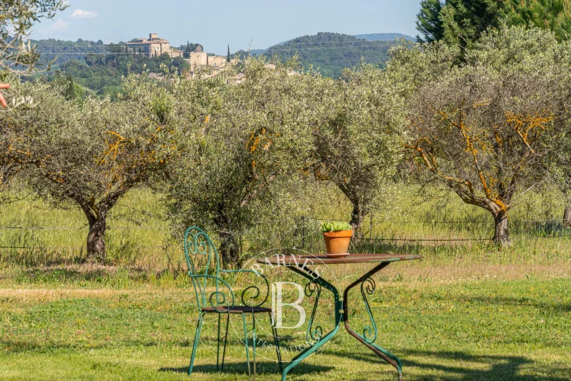 Lourmarin  - Property 5 Bedrooms - picture 13